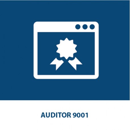 Auditor 9001 (24 CFP Ingegneri)